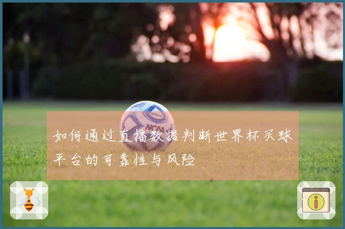 如何通过直播数据判断世界杯买球平台的可靠性与风险