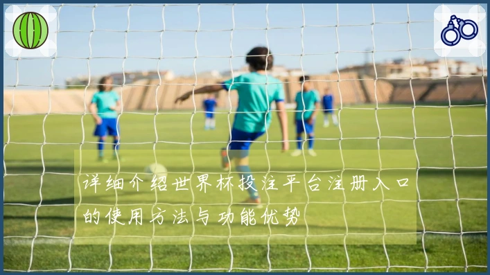 详细介绍世界杯投注平台注册入口的使用方法与功能优势