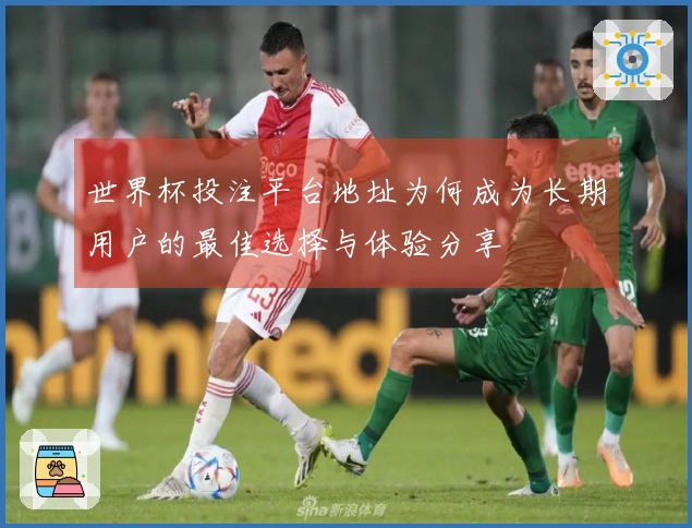 世界杯投注平台地址为何成为长期用户的最佳选择与体验分享
