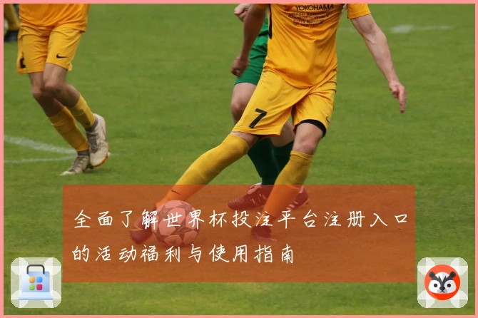 全面了解世界杯投注平台注册入口的活动福利与使用指南