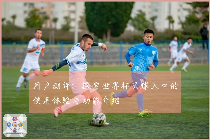 用户测评：探索世界杯买球入口的使用体验与功能介绍