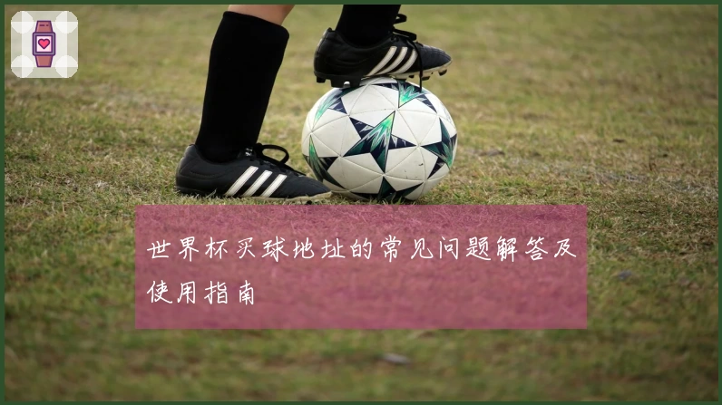世界杯买球地址的常见问题解答及使用指南