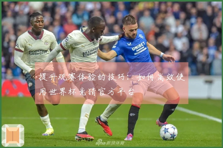提升观赛体验的技巧：如何高效使用世界杯竞猜官方平台