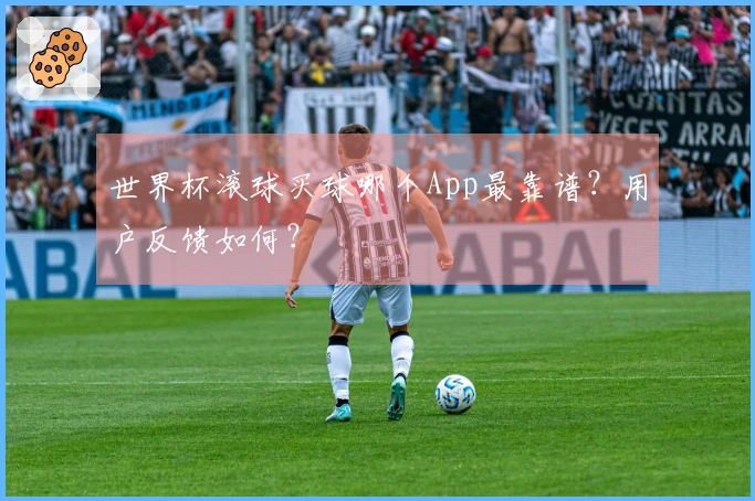 世界杯滚球买球哪个App最靠谱？用户反馈如何？