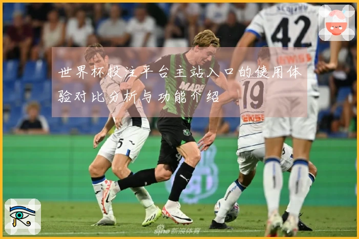 世界杯投注平台主站入口的使用体验对比分析与功能介绍