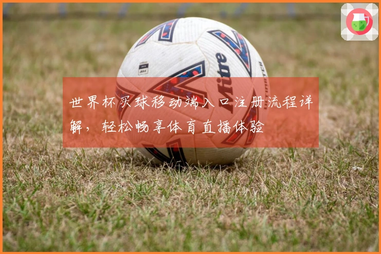 世界杯买球移动端入口注册流程详解，轻松畅享体育直播体验
