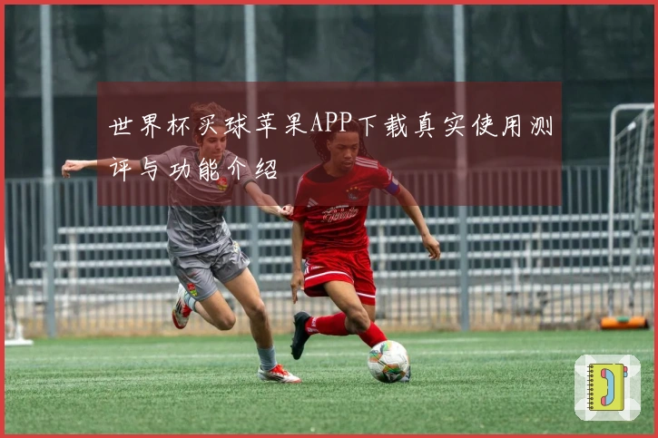 世界杯买球苹果APP下载真实使用测评与功能介绍