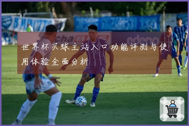 世界杯买球主站入口功能评测与使用体验全面分析