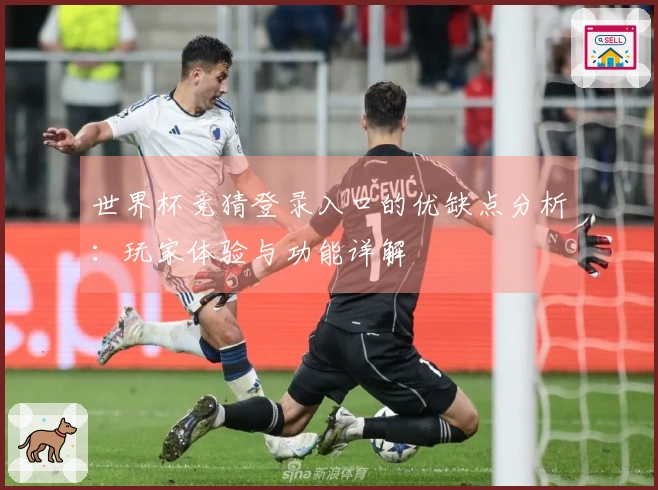 世界杯竞猜登录入口的优缺点分析：玩家体验与功能详解