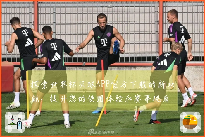 探索世界杯买球APP官方下载的新功能，提升您的使用体验和赛事观看乐趣