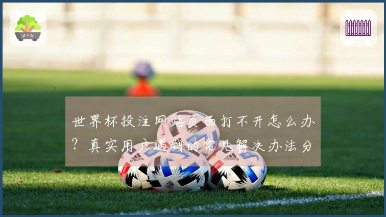 世界杯投注网站页面打不开怎么办？真实用户遇到的常见解决办法分享