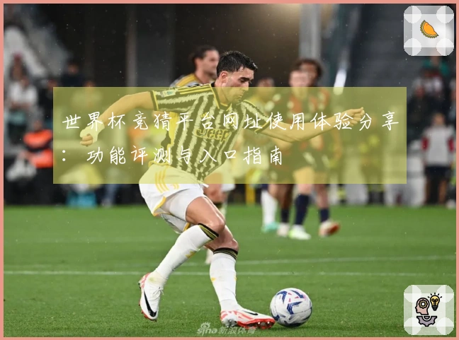 世界杯竞猜平台网址使用体验分享：功能评测与入口指南